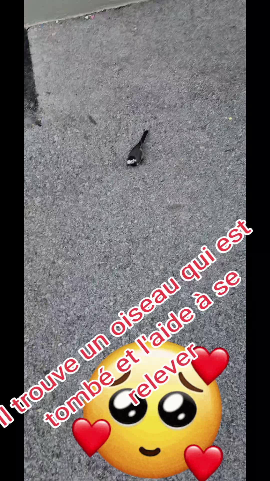 @evelyne