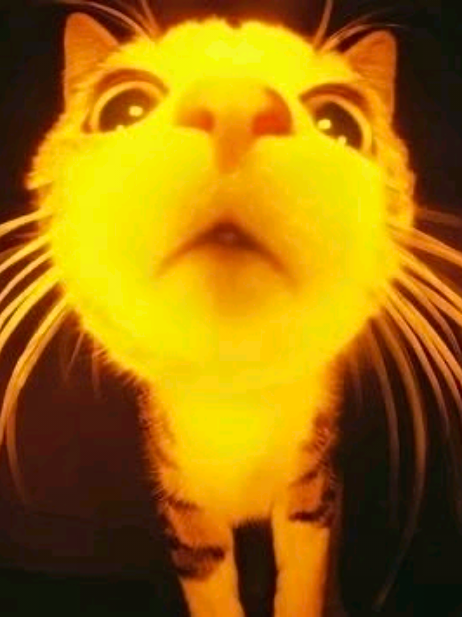 @°๐๏ฝกhollie°๊ฉ•