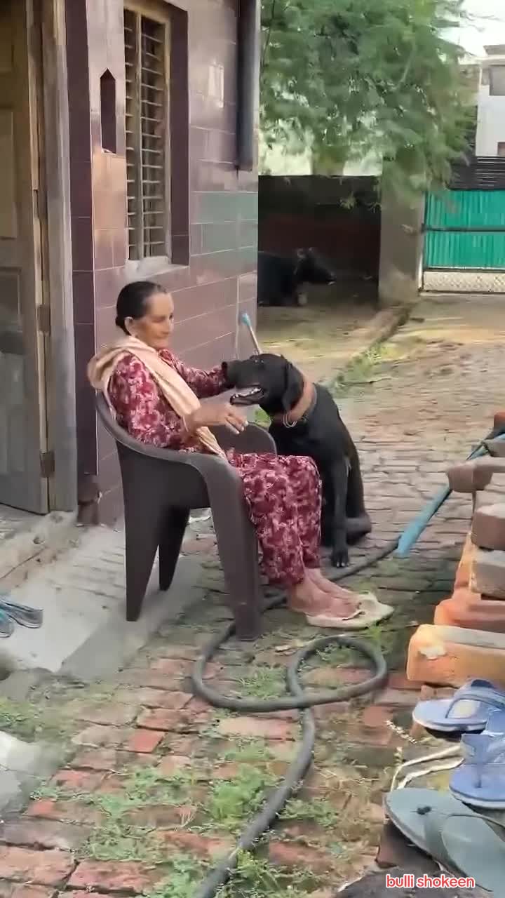 @bullishokeen2