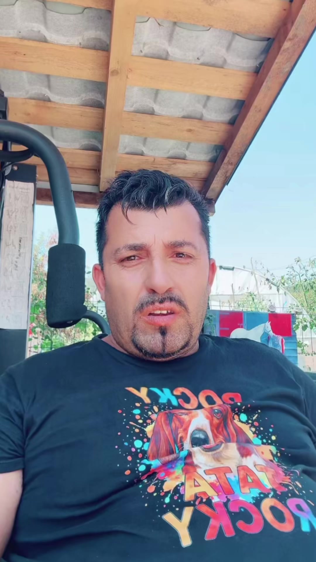 @adelin_petrisor67.