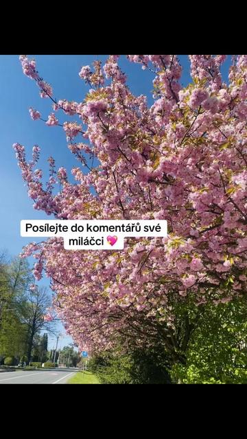 @Nikola Reziova_official_učet
