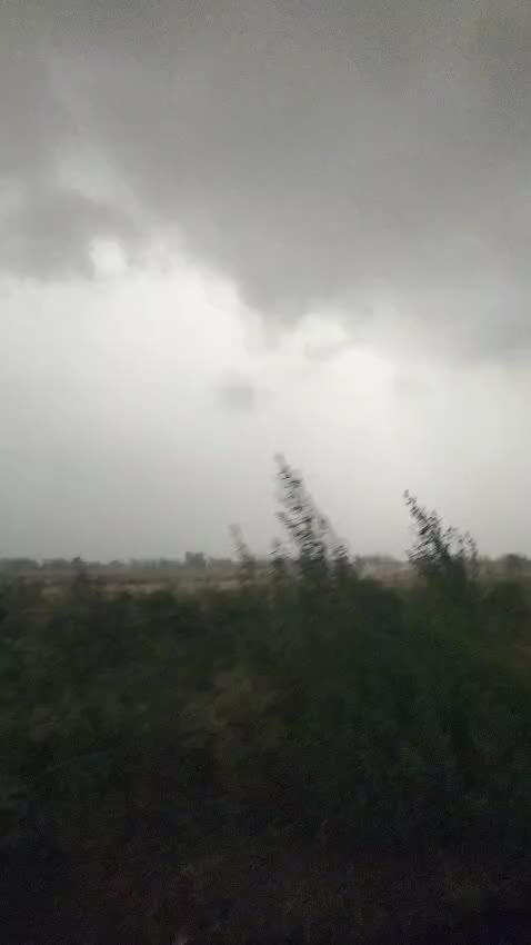 @Rasheedmalik