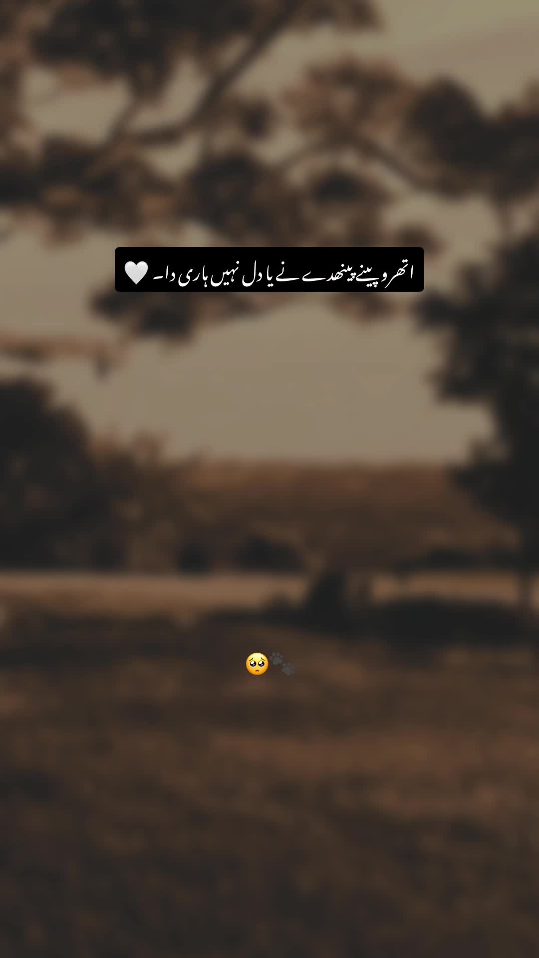 @𝐓ʜᴇ 𝐌ᴏᴏɴ🖤