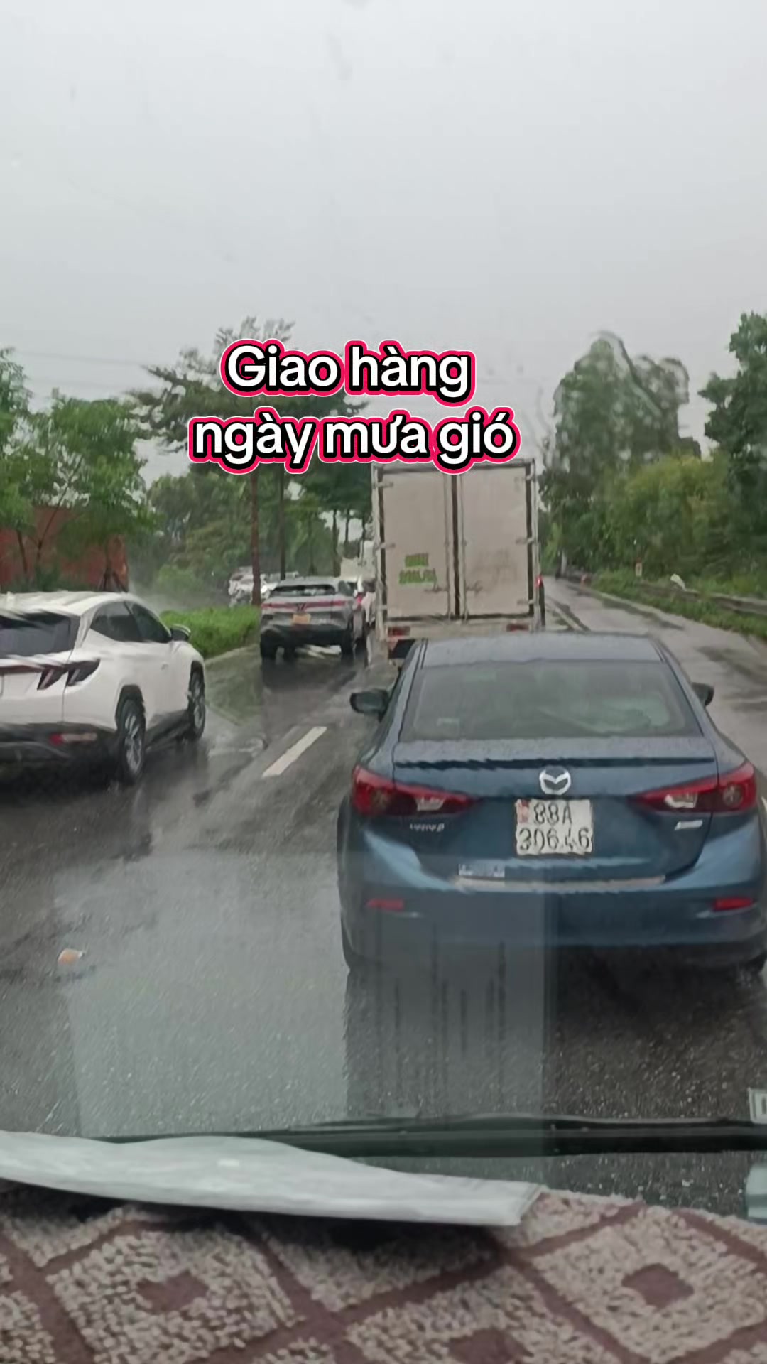 @Tổng Sỉ Huân Hường Thổ Tang