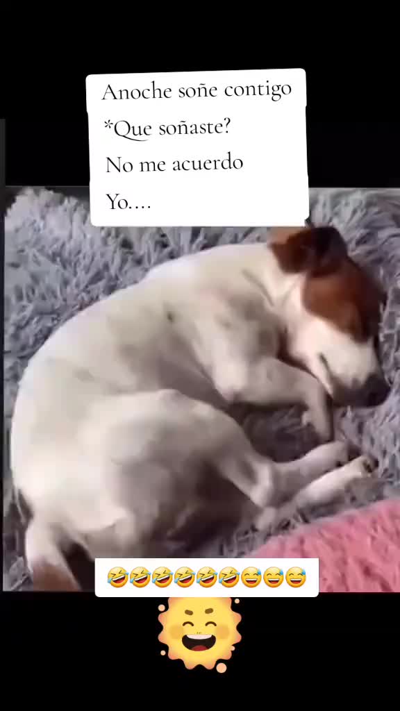 @oxkar
