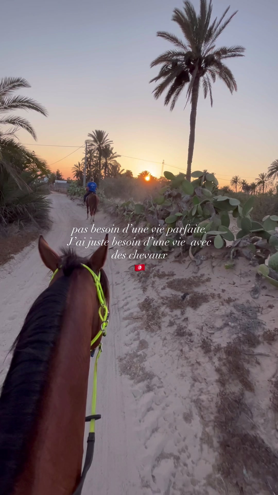@activitesdjerba216