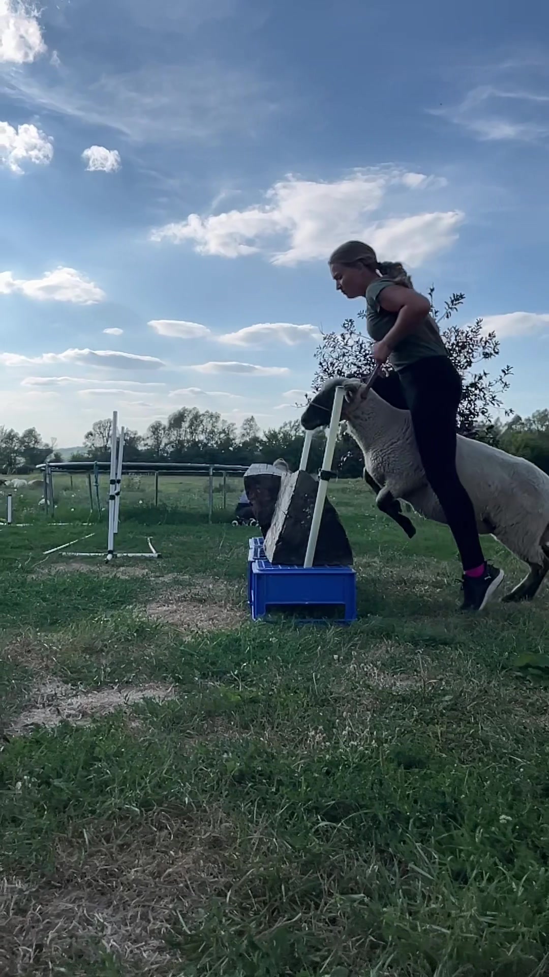 @MizoMici