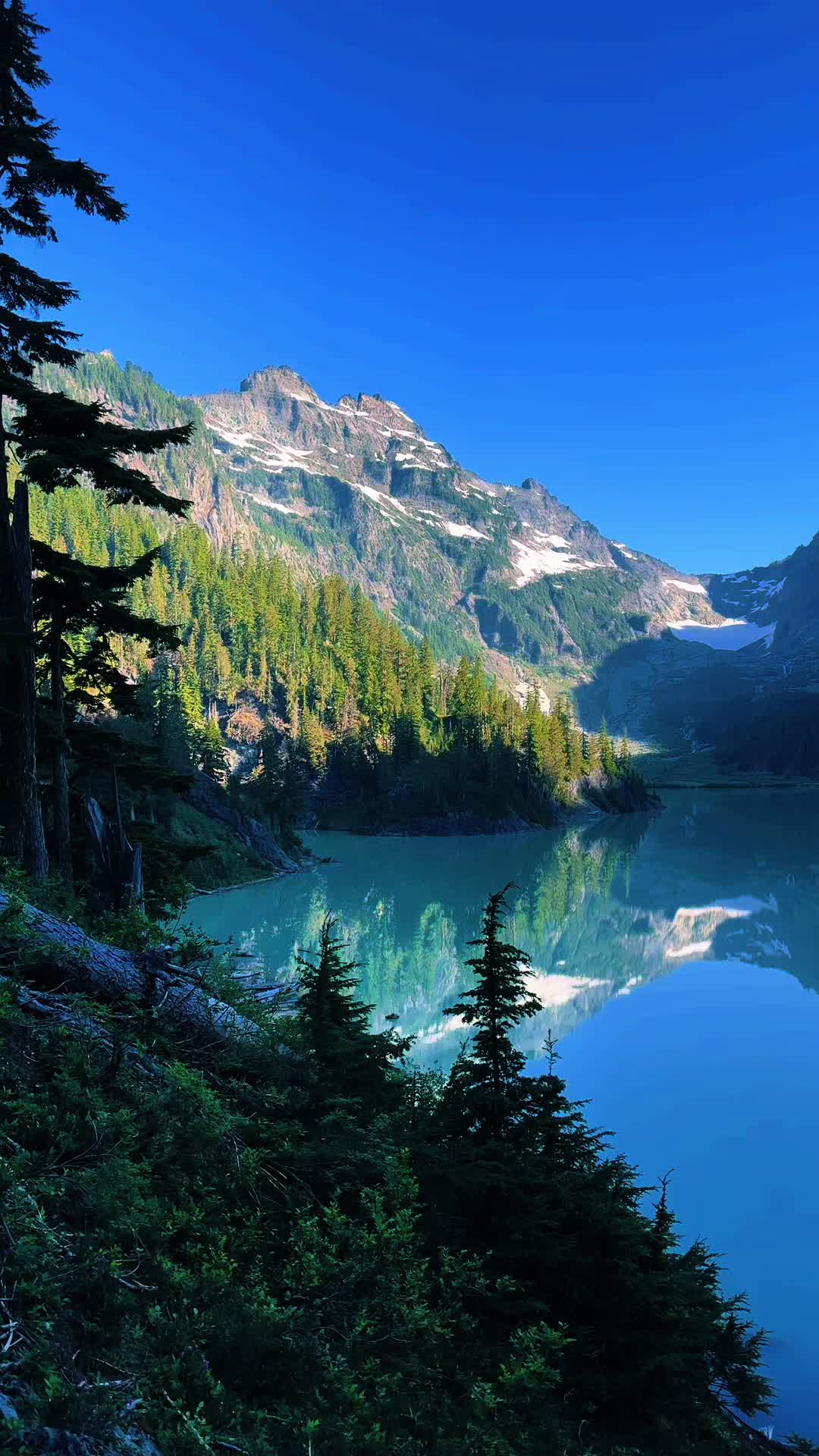 @🌲 James | WA 🏔️
