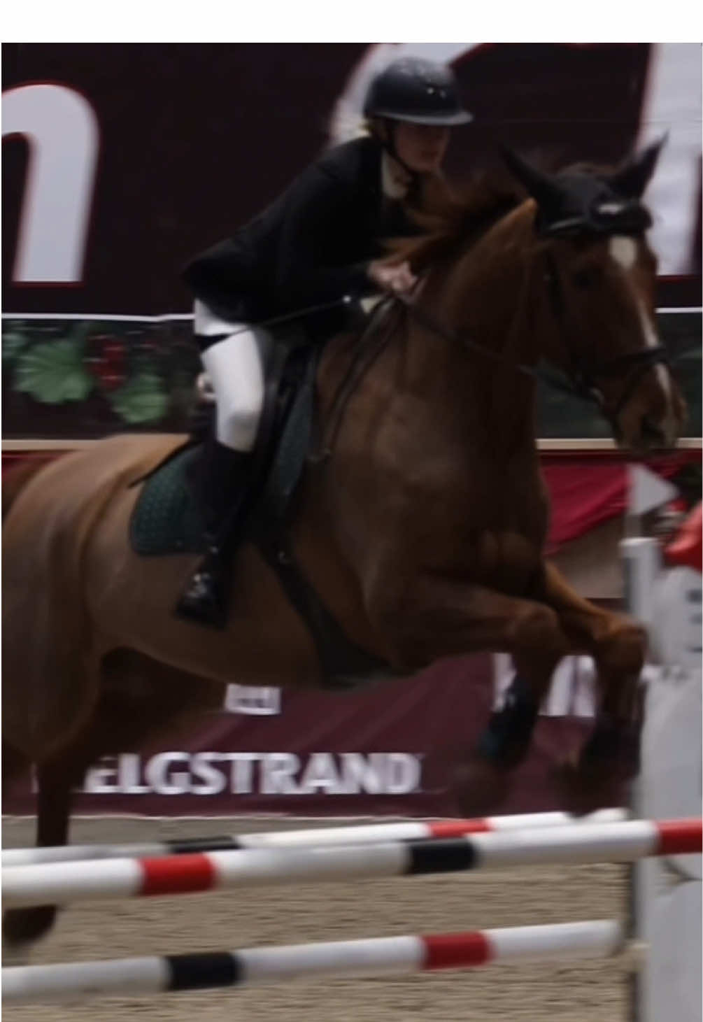 @Kv.equestrian