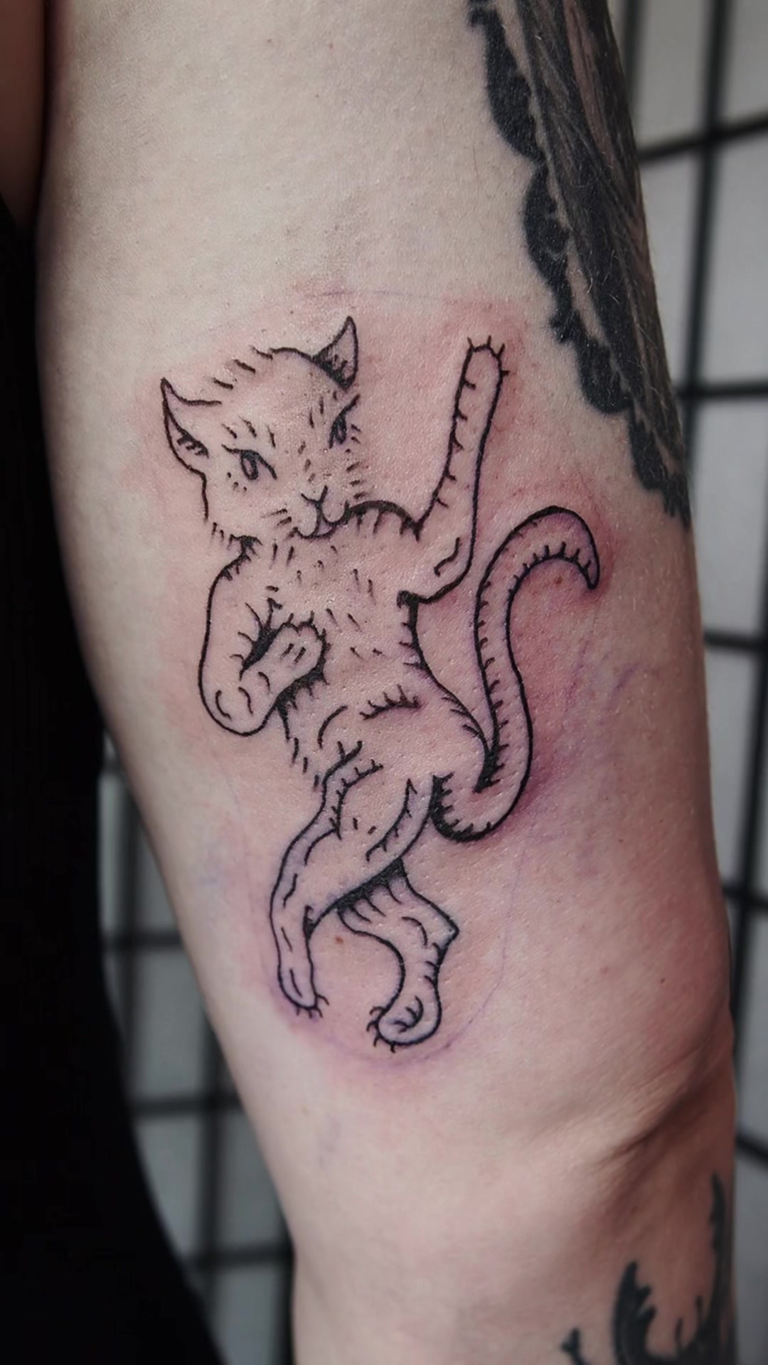 @lkovarovicc.tattoo