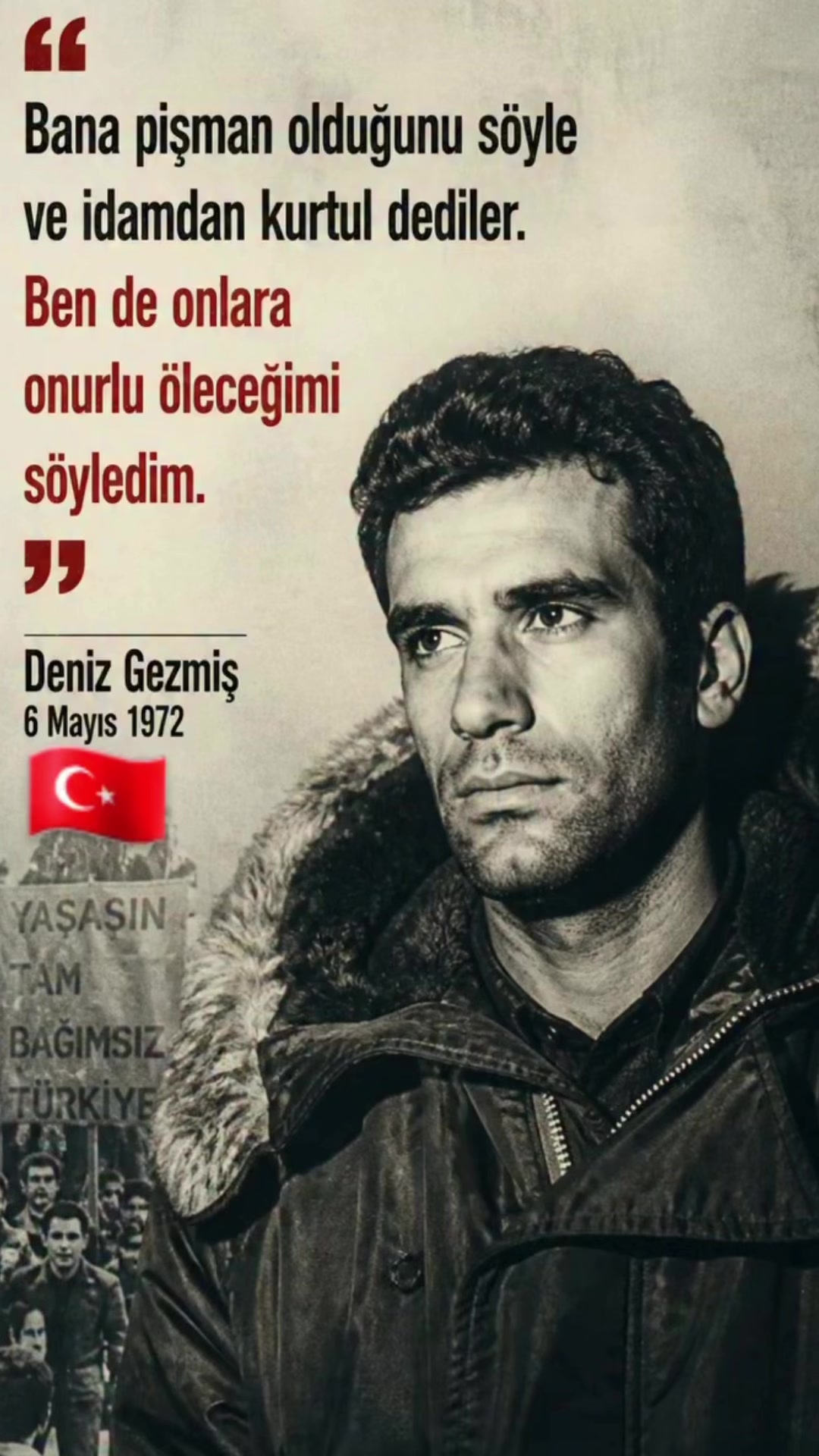 @zerda elvan