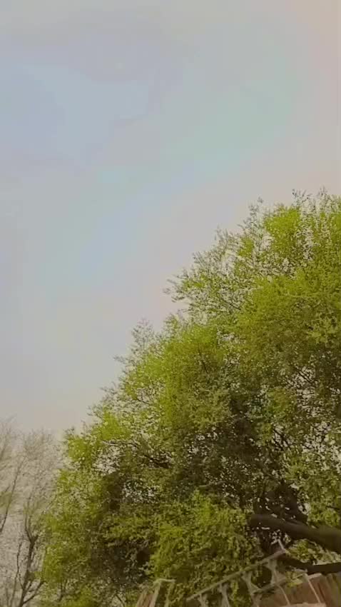 @Usman Dogar Pinda ayla