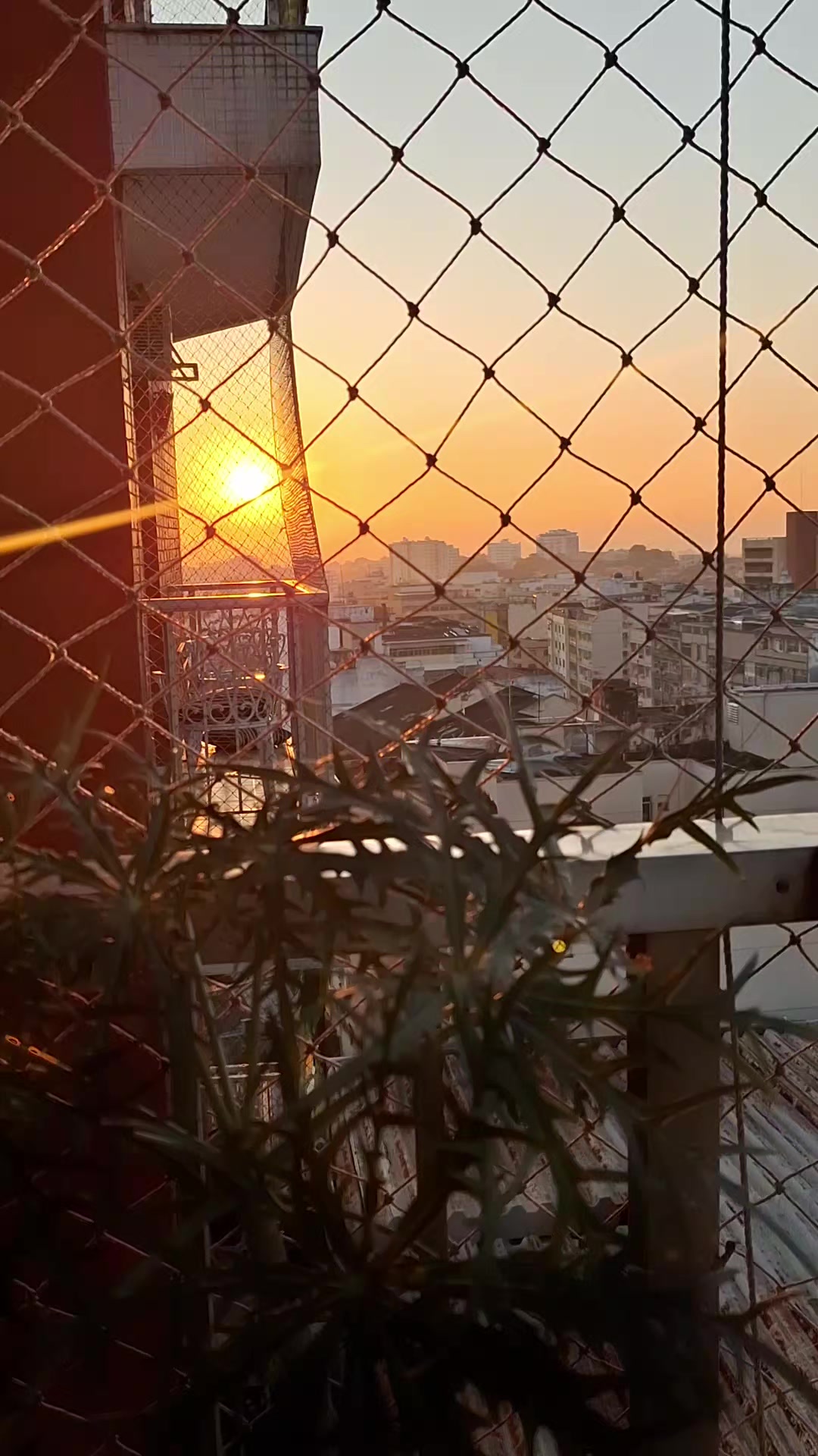 @Elena Cairo