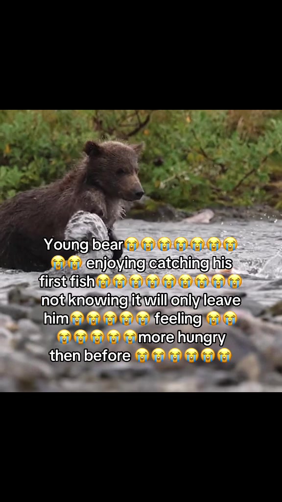 @youngboba7son