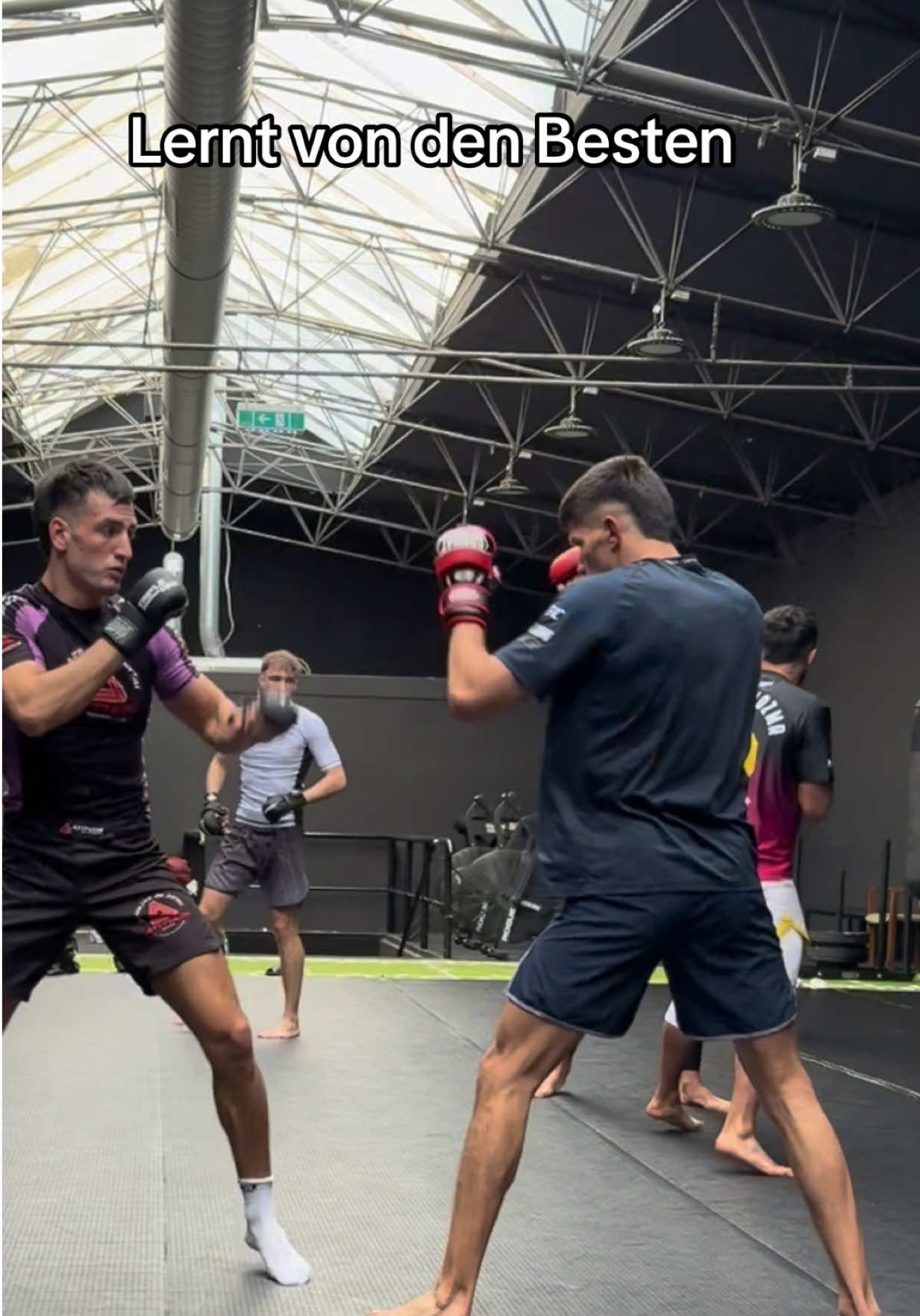 @soroka.mma