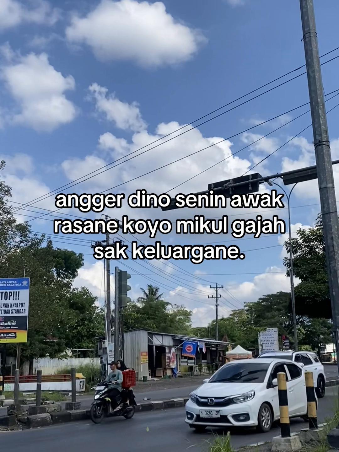 @𝙋𝘼𝙉𝘾𝙀𝙉.𝘿𝙀𝙒𝙀⚡️