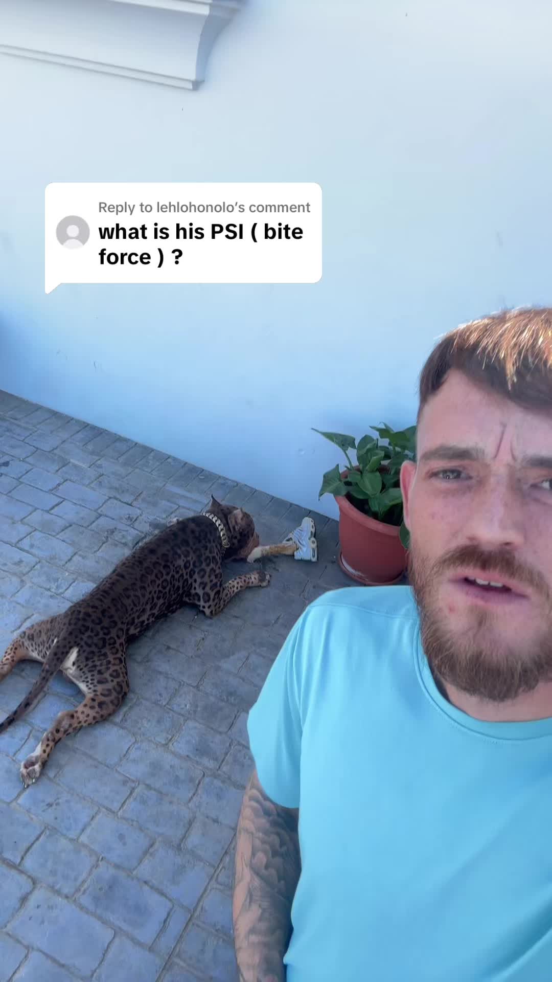 @deanthedogman1