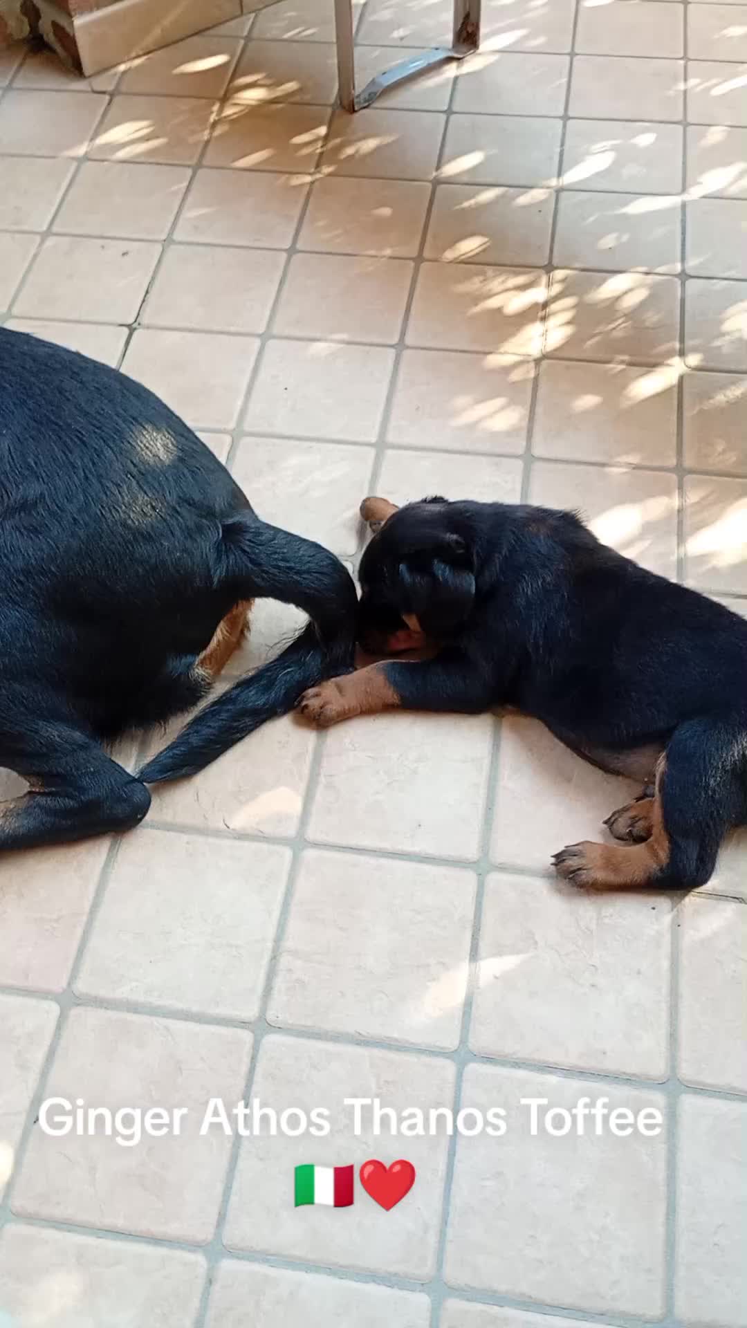 @Ricky