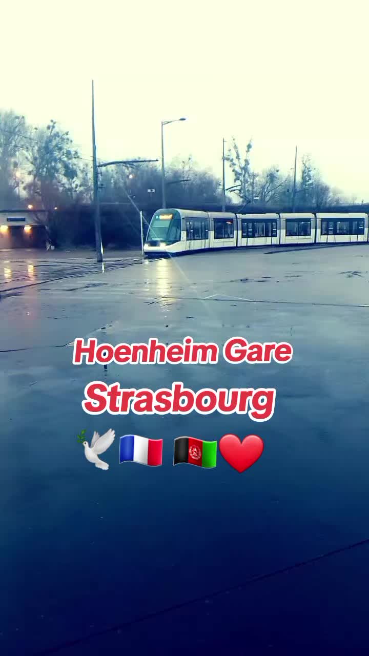 @§ȟåď¤ķȟț