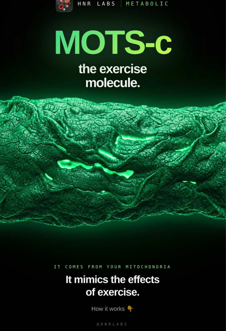 @HNR Labs