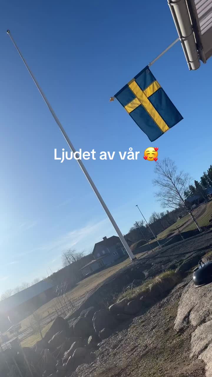 @Lajf84_skog_jakt