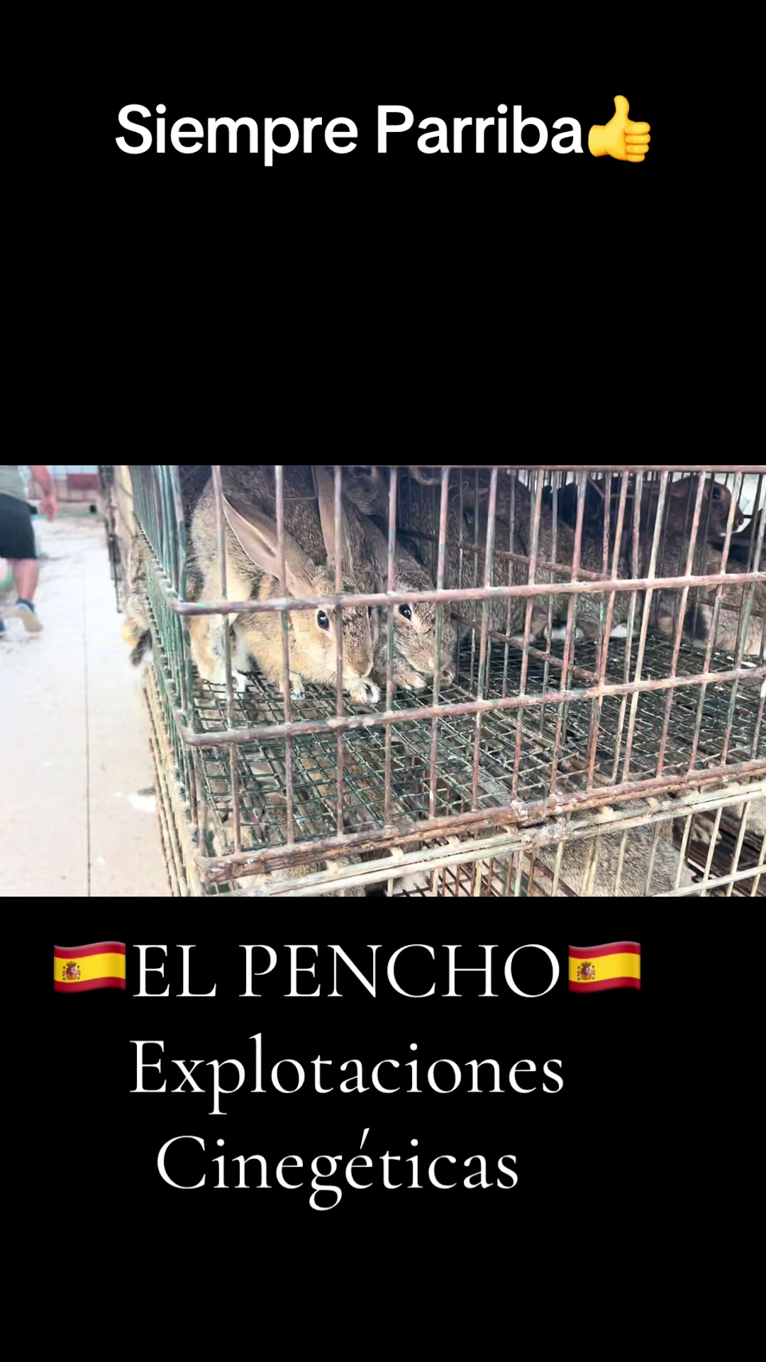 @El_Pencho_Cinegeticas