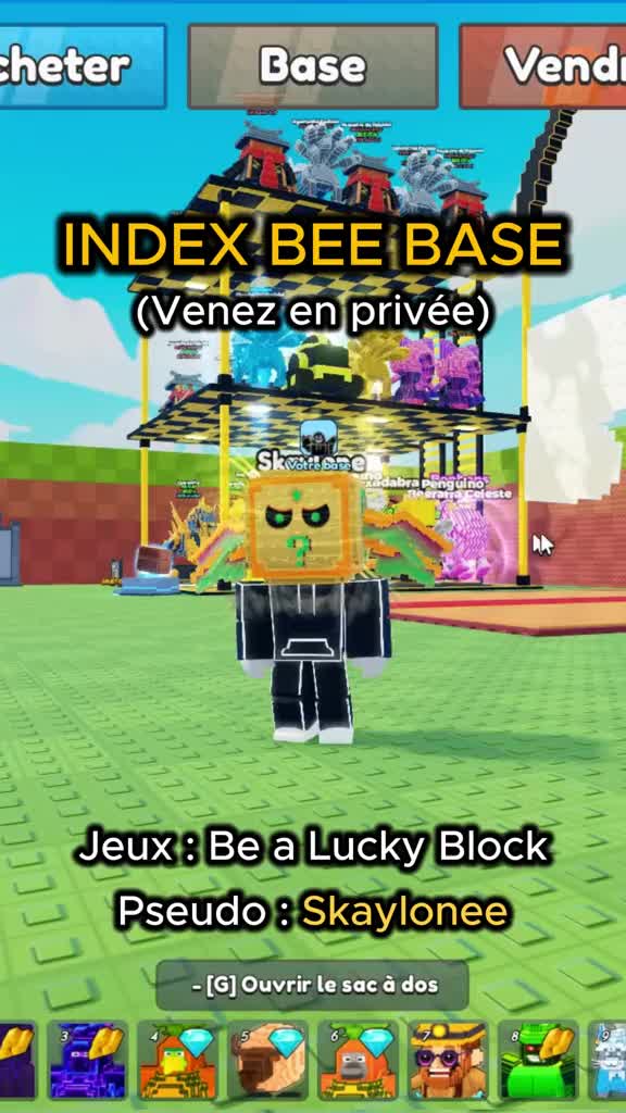 @Skayblox