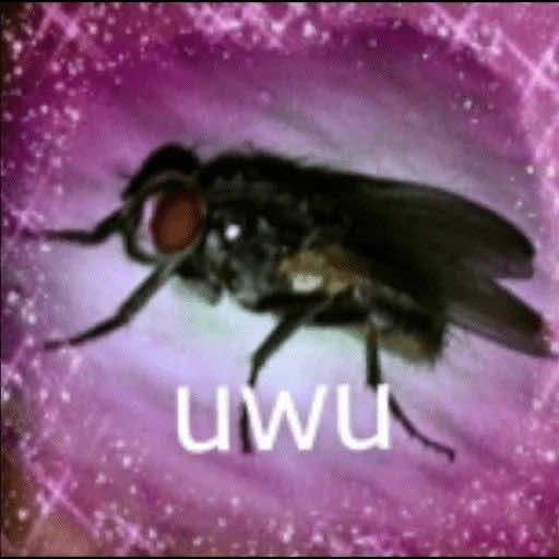 @vkth1nvk66