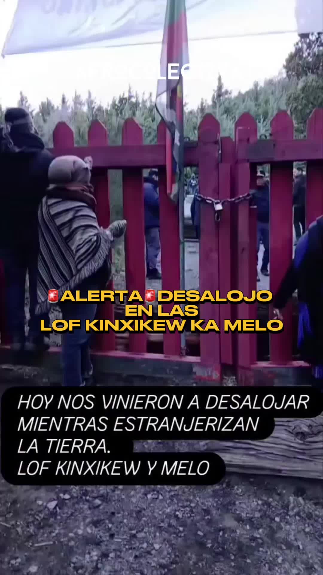 @Afrocolectiva