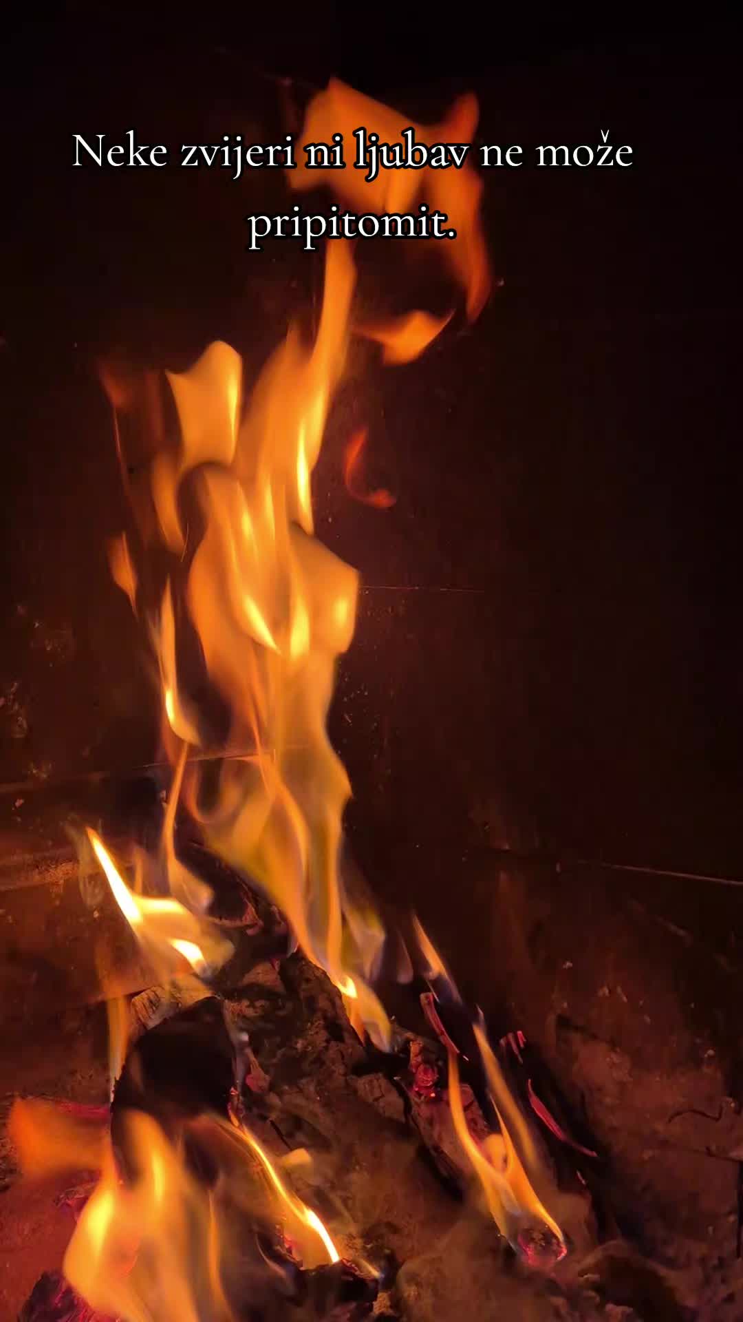 @★tetkiš☆