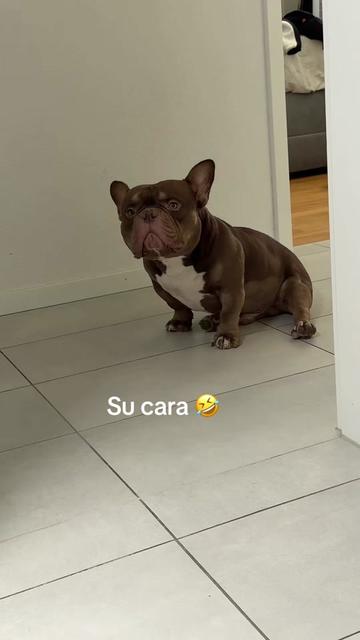 @eri_daii
