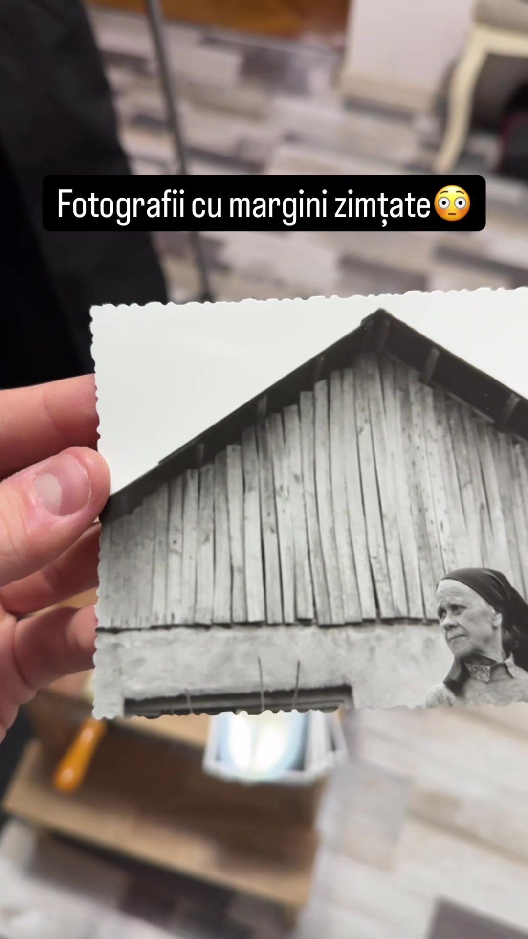 @NEGATIVESCU