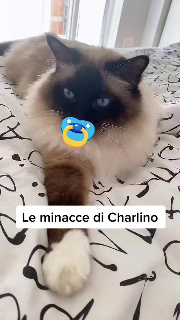 @Cristina Tarantino
