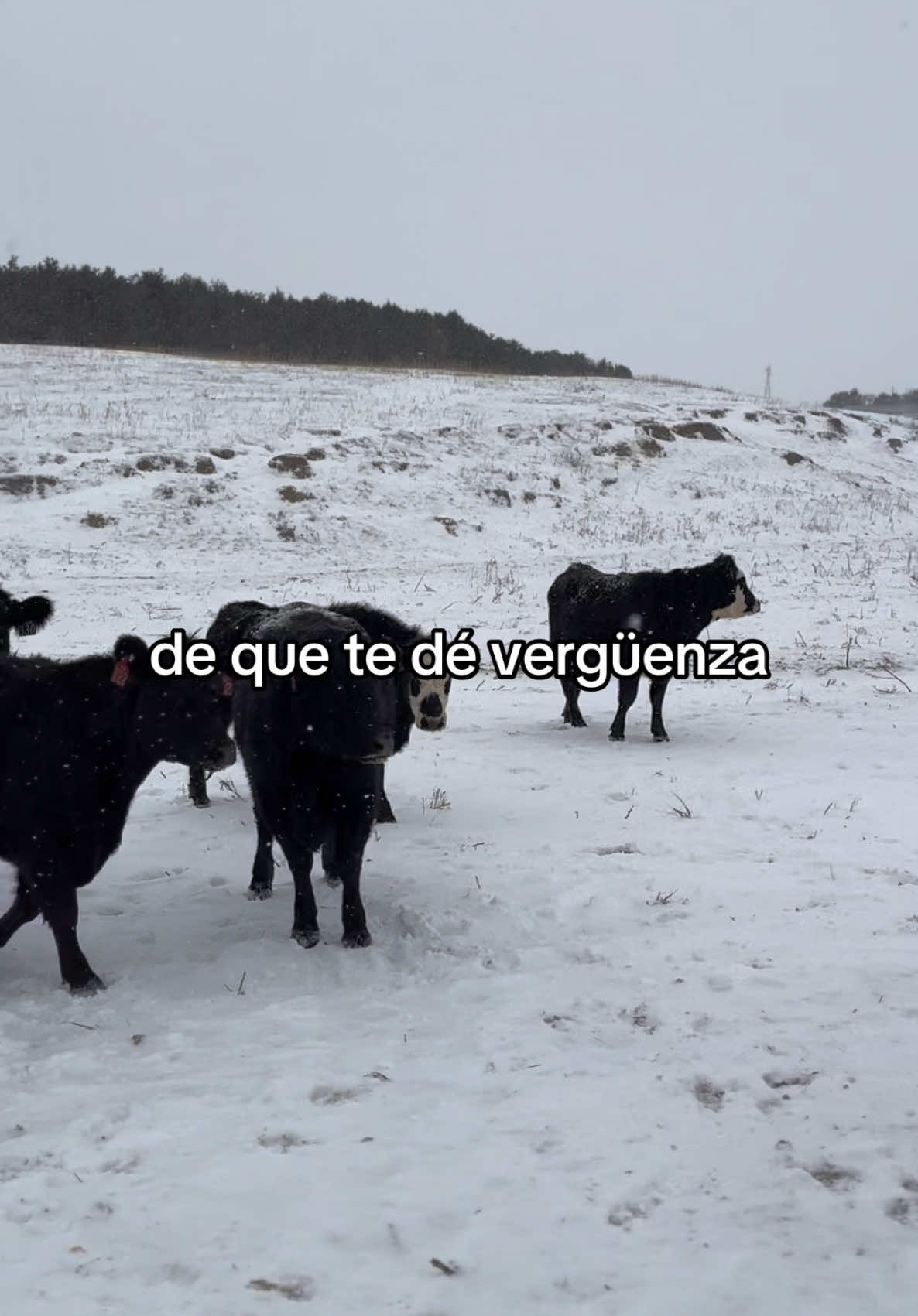 @Javier| Nebraska Ranch