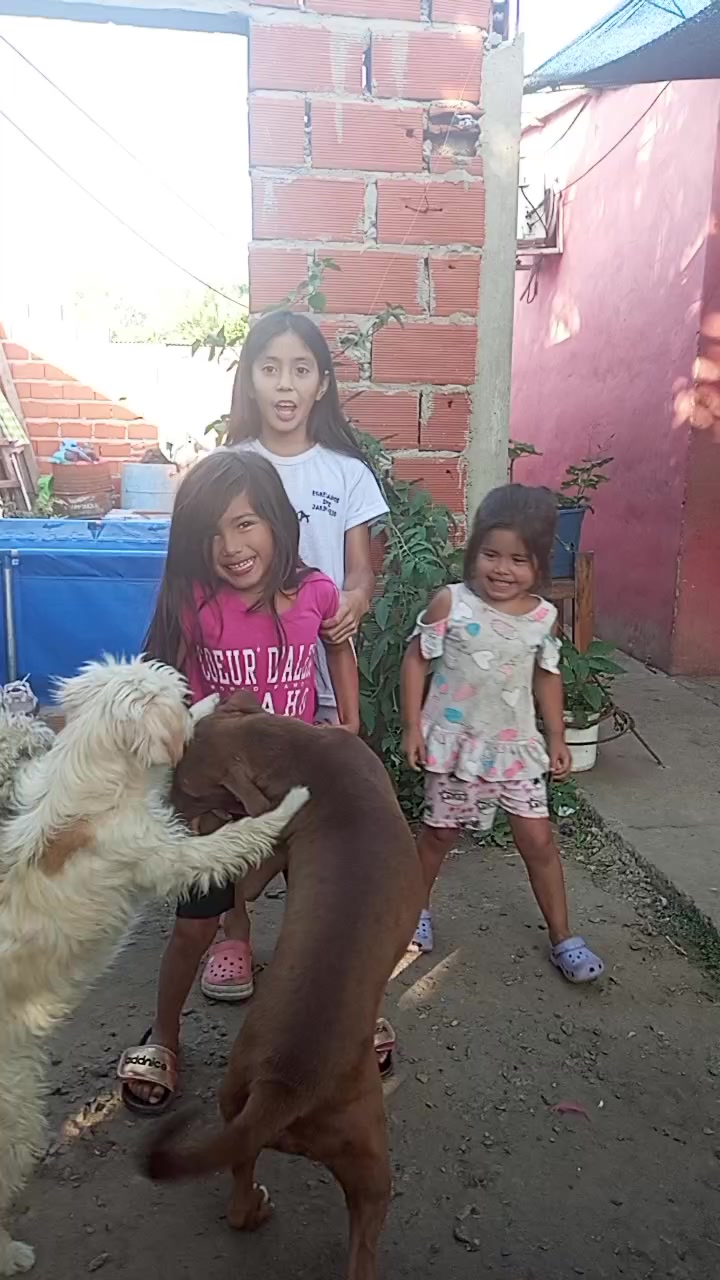 @daiiibrito2
