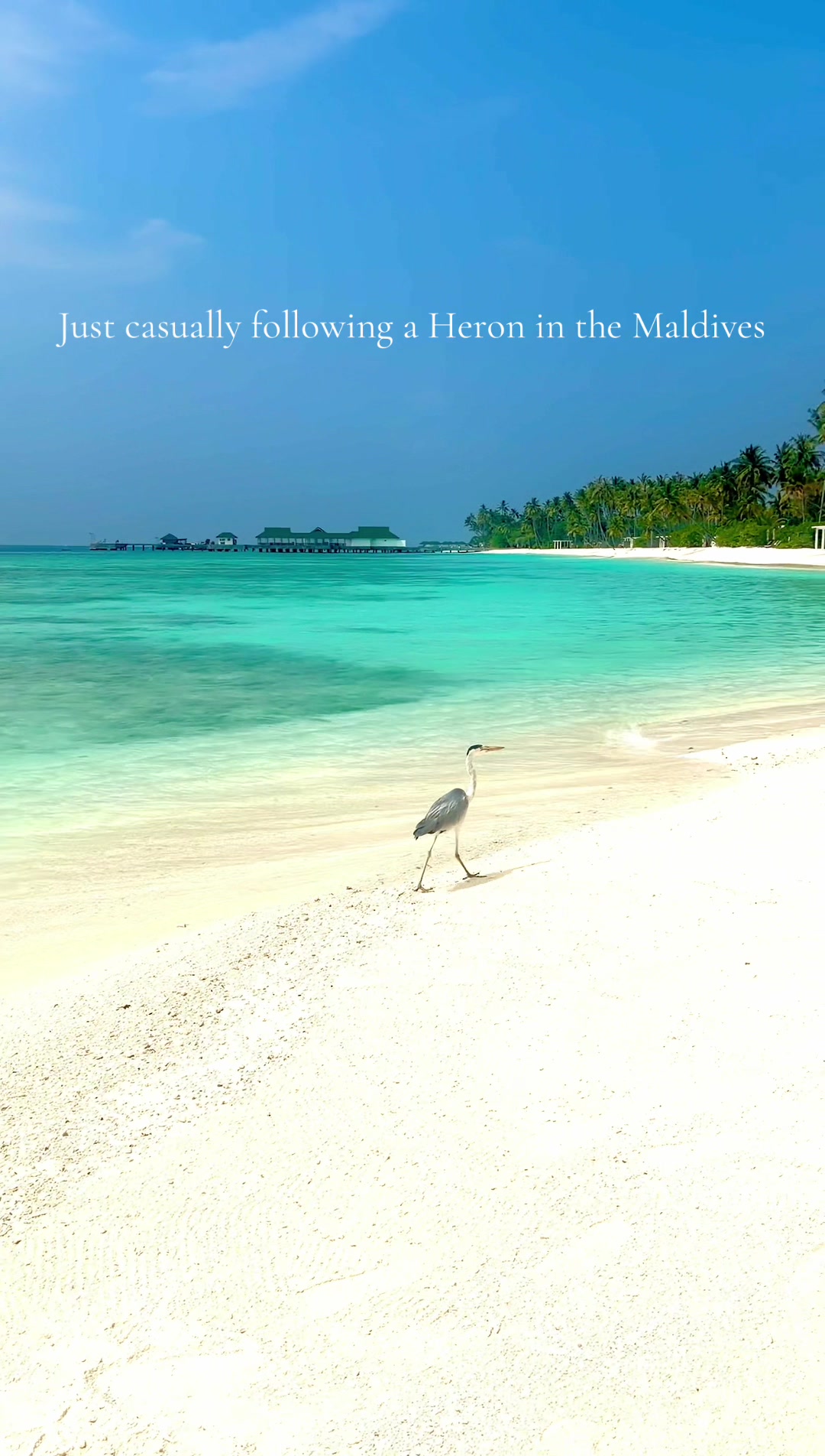 @LuxuryTravelAddict ๐๐