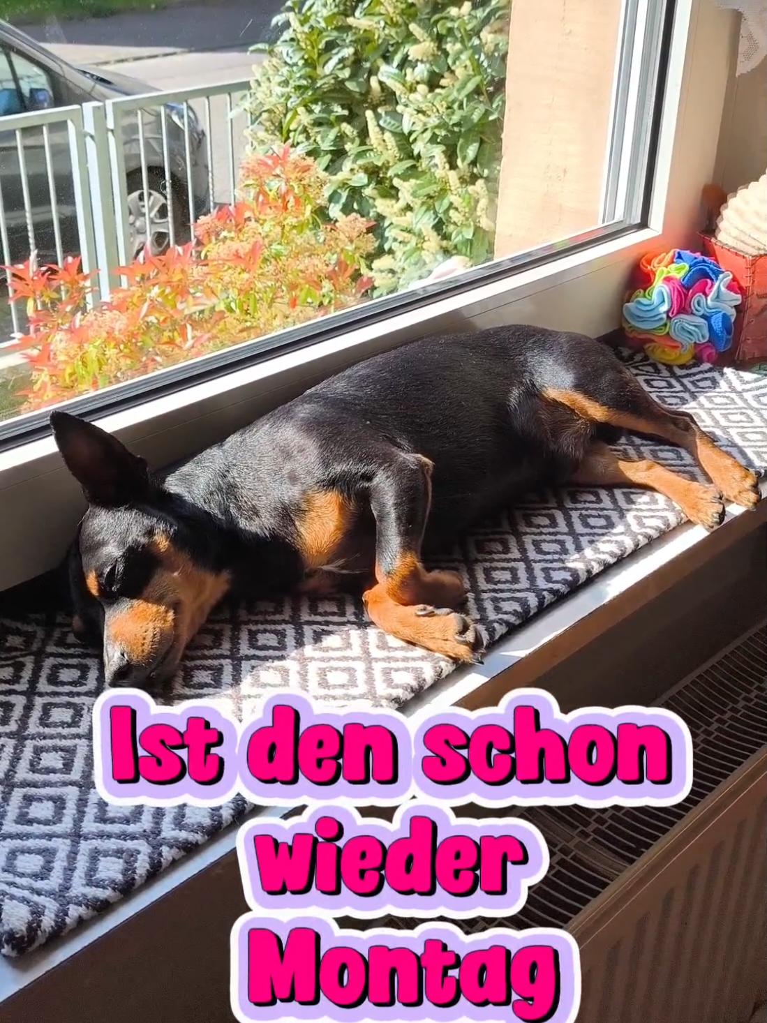 @ICH BIN'S