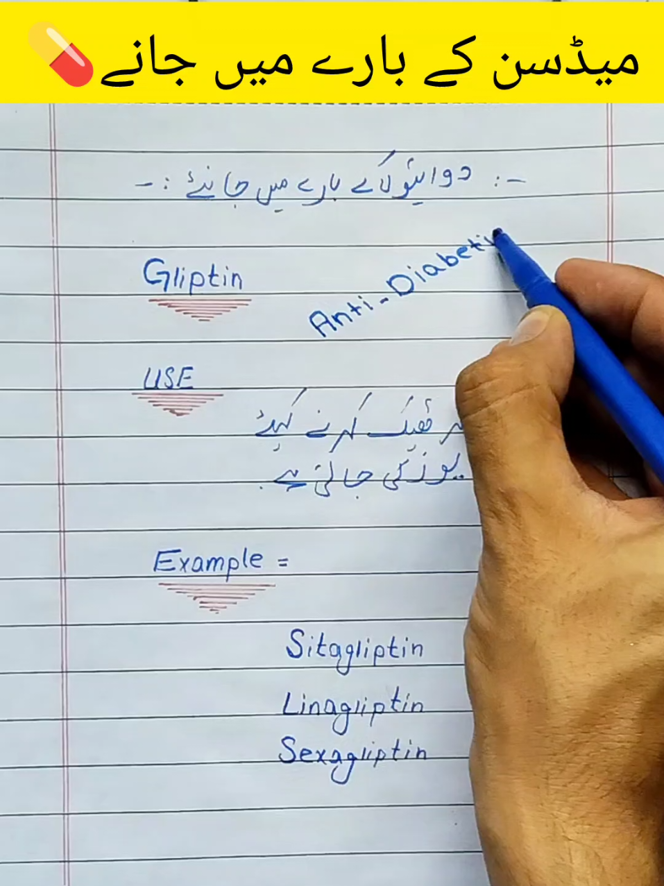 @Knowledge ✍️