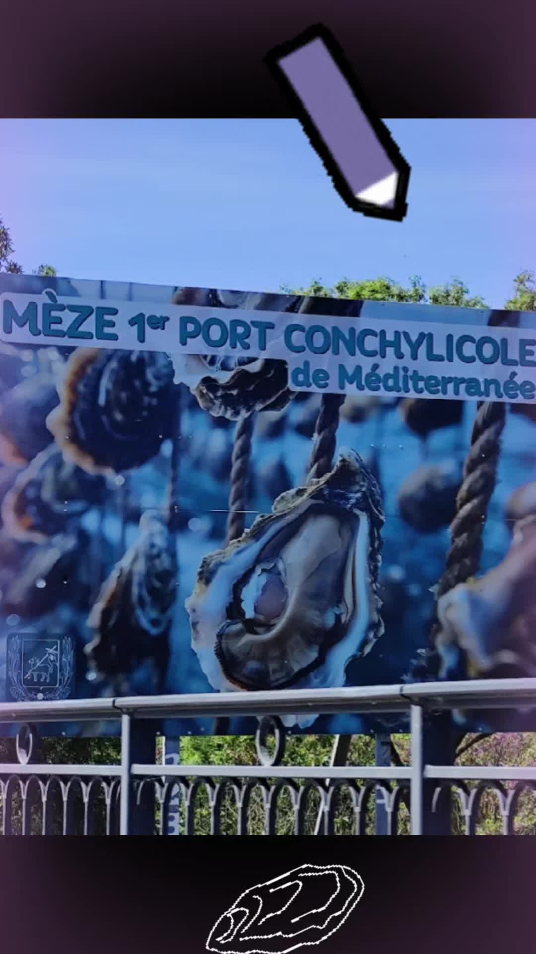 @Mag2provence