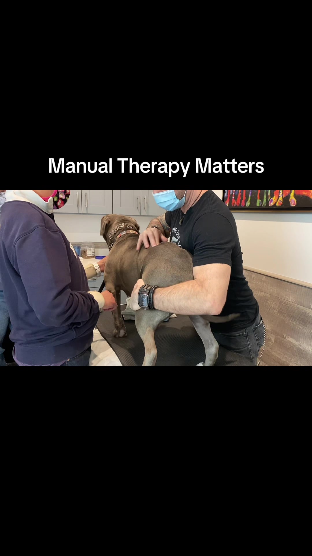 @ArfitDogRehabFitness