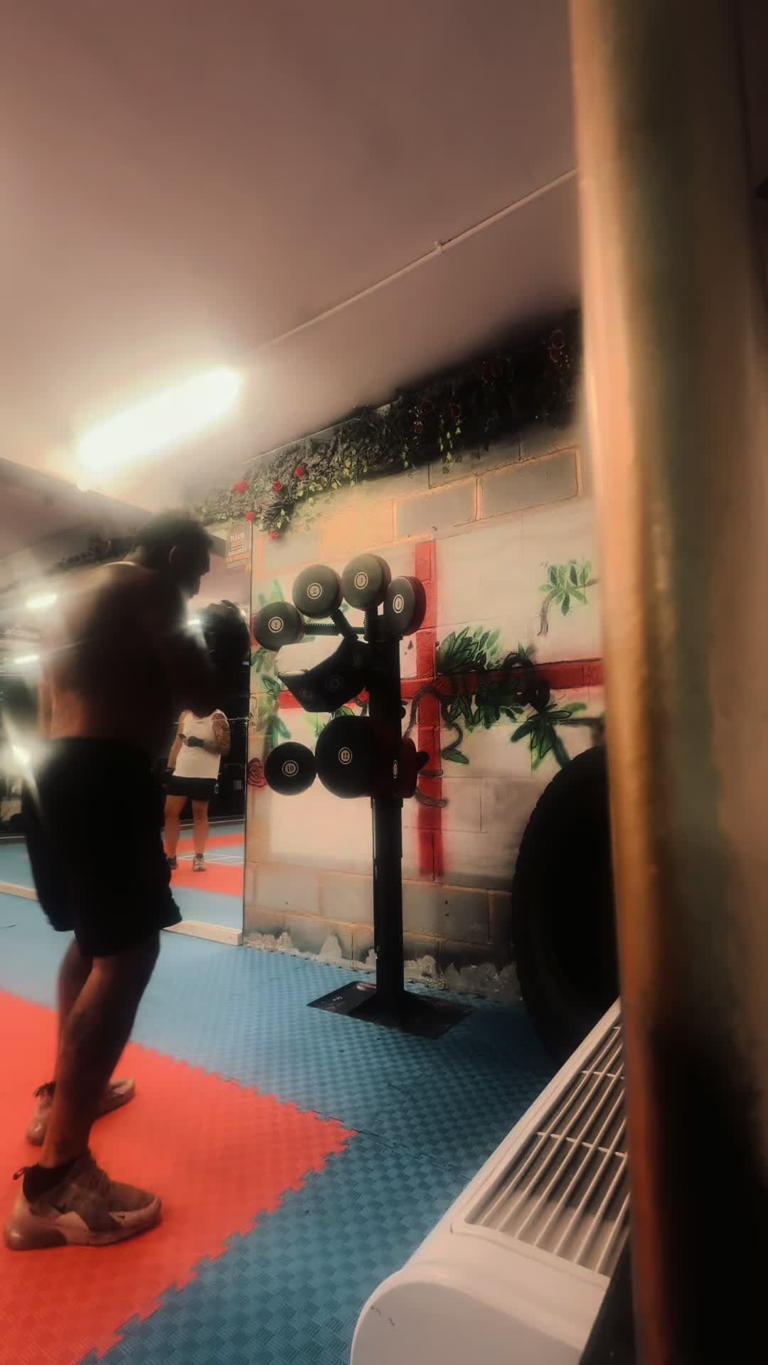 @mikehadley boxer