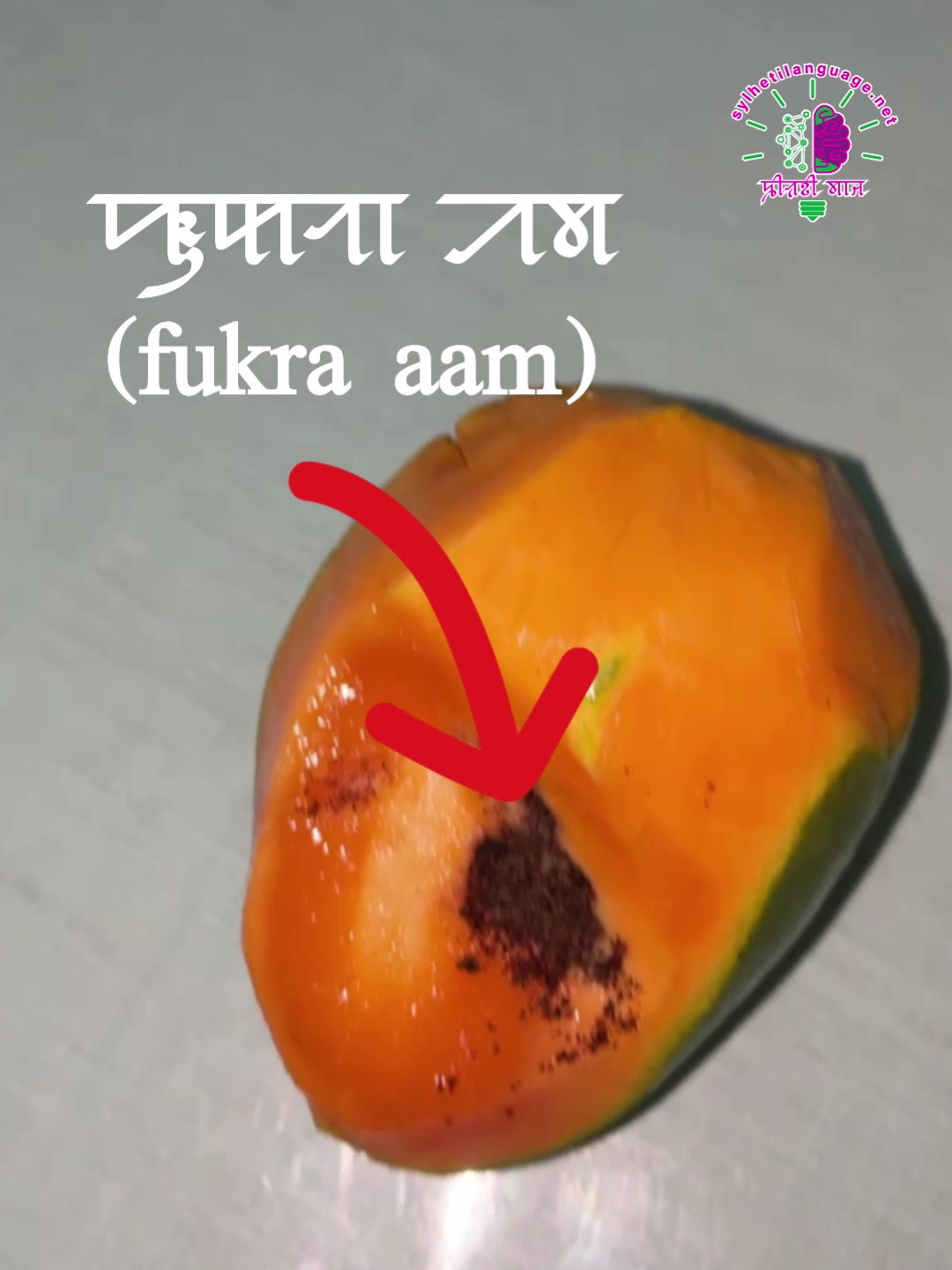 @Sylheti Language ꠍꠤꠟꠐꠤ ꠛꠣꠌꠣꠁ