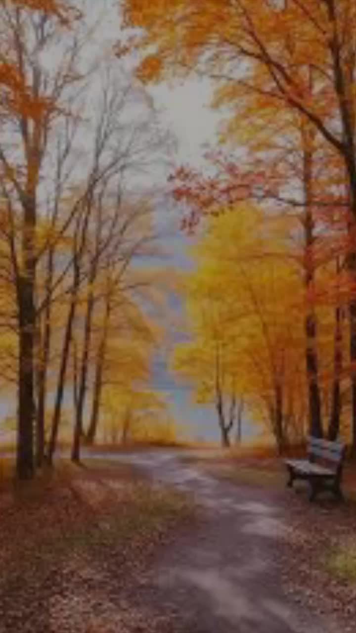 @Muhammad Nadeem