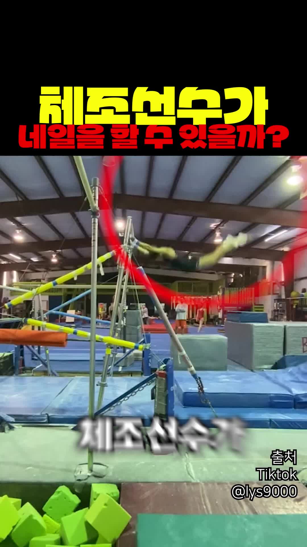 @짱아까미