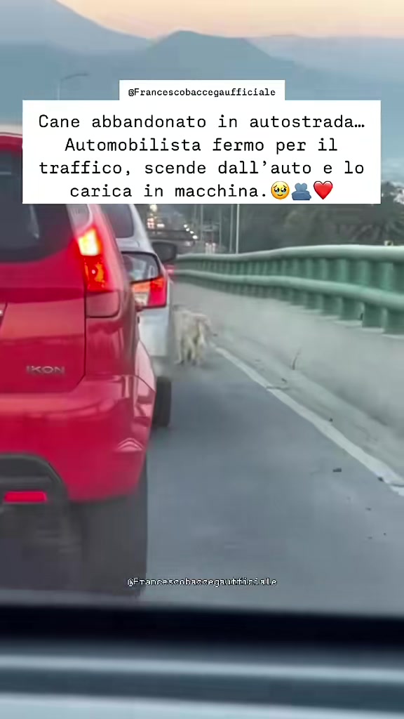 @francescobaccegareal