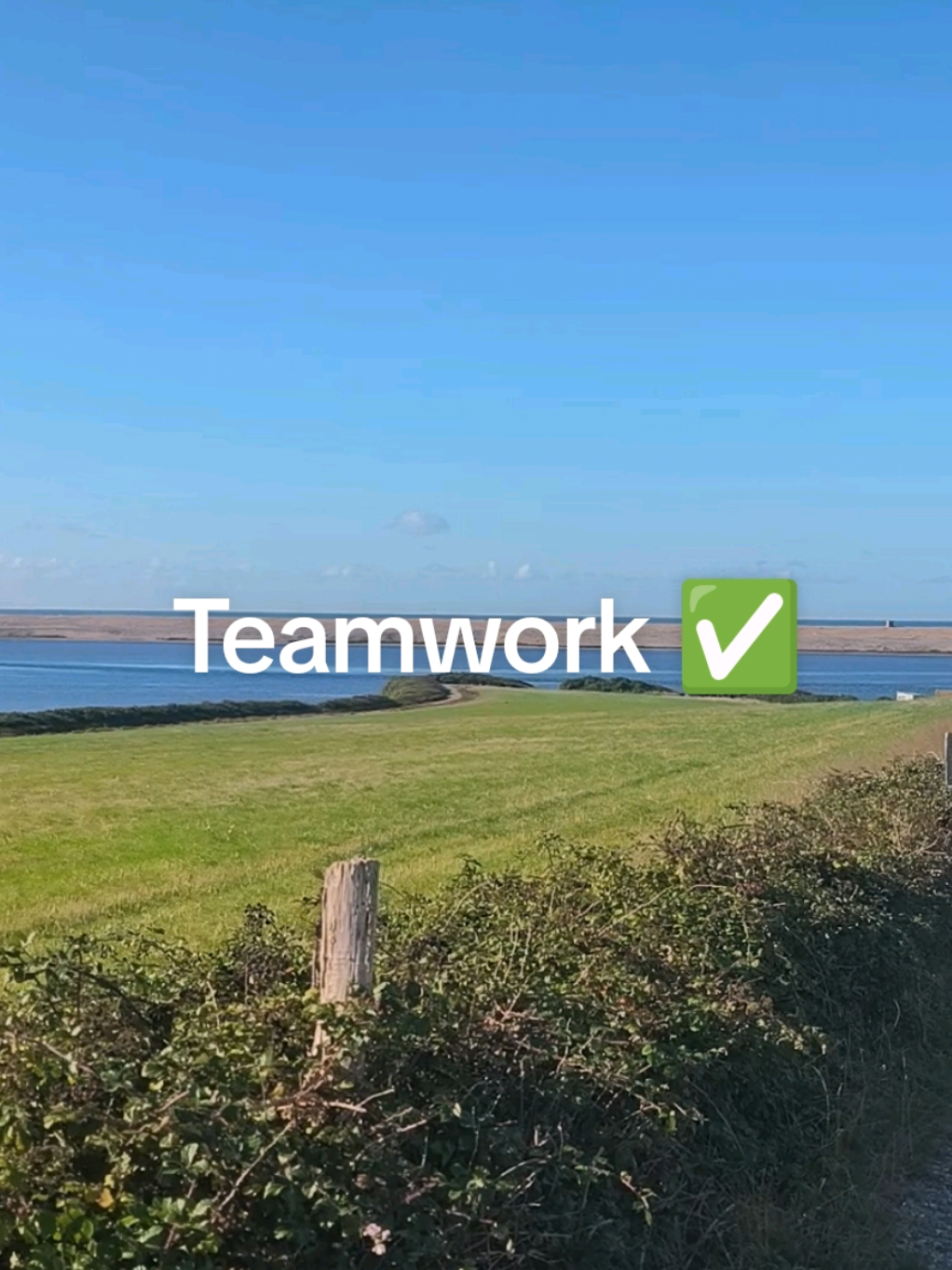 @Teamwork