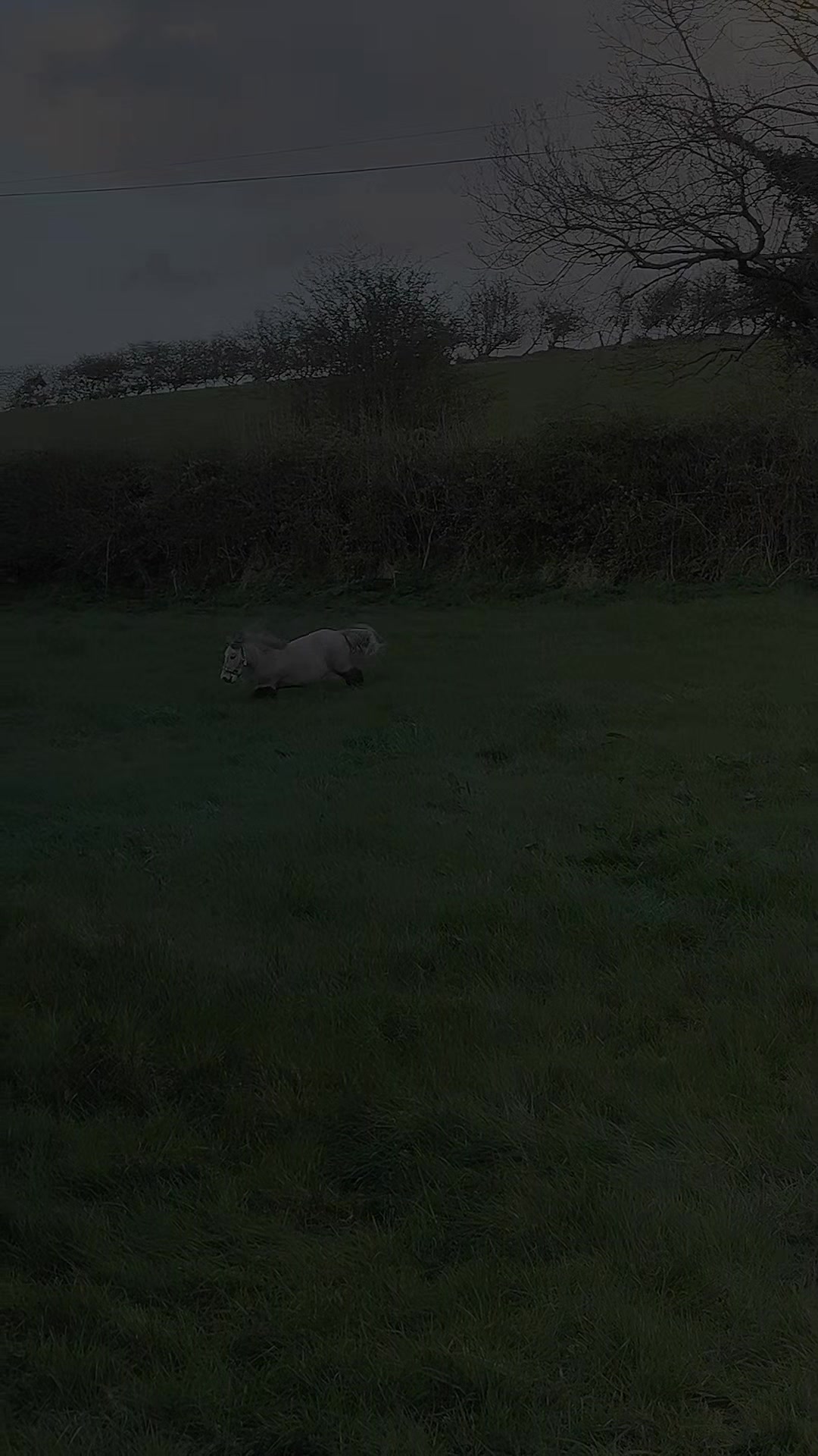 @Miss Poppy and friends 🦄💖