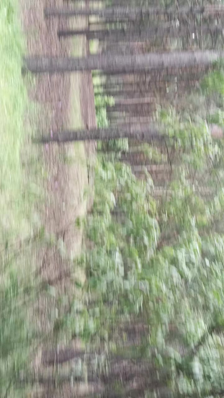 @лера