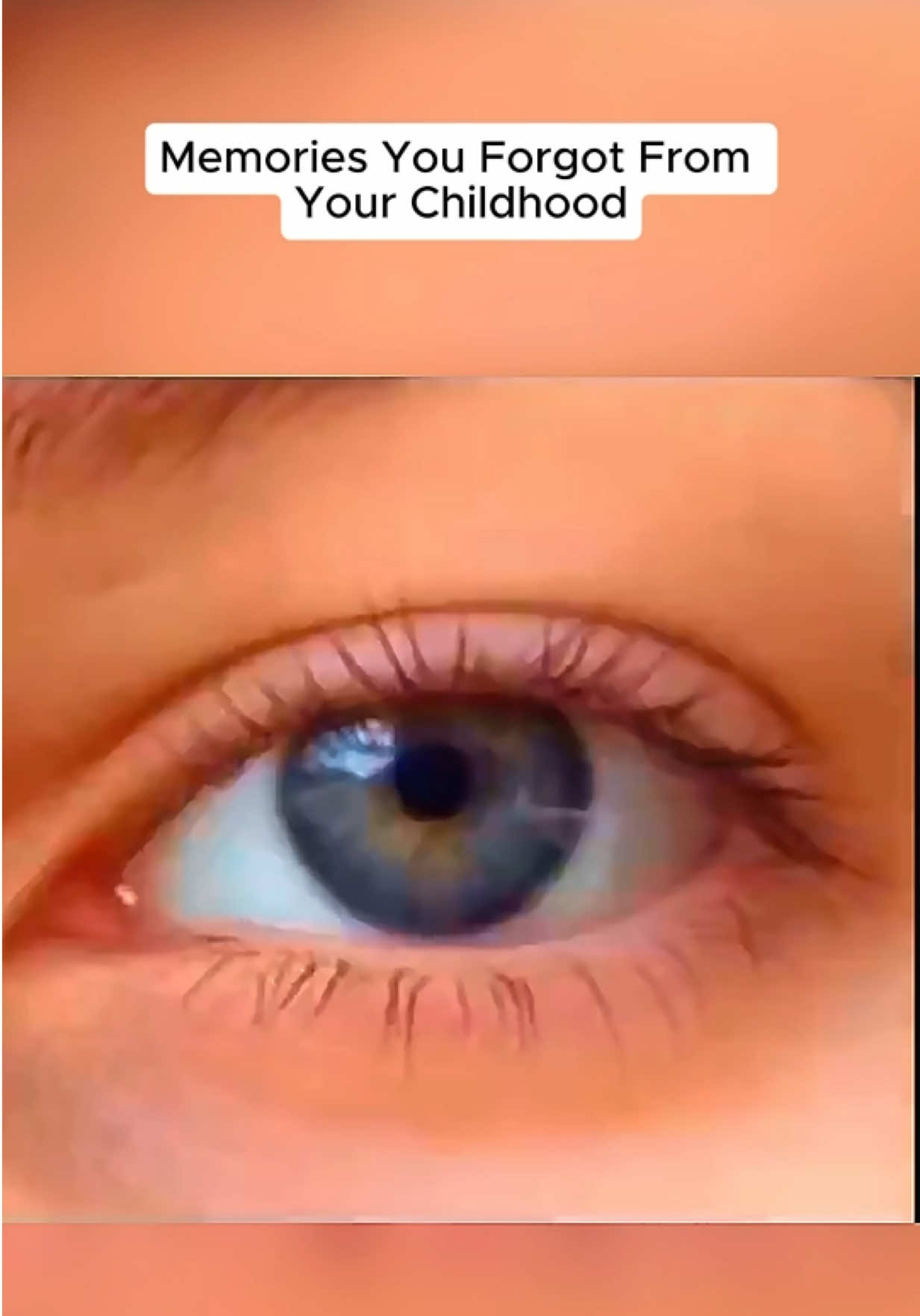 @NicheNovaNostalgia