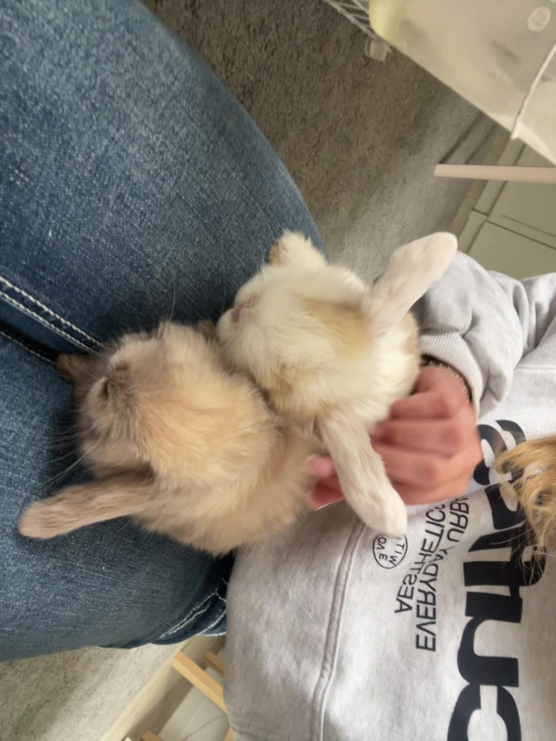 @hemligtyp67